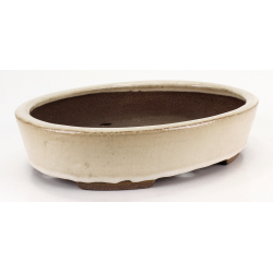 Bonsai pot JTA8569 EJIRI TAIZAN view 2
