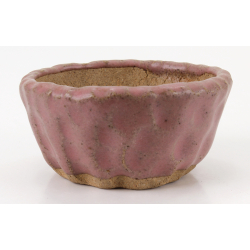 Bonsai pot JTA8595 SHUHO SETO