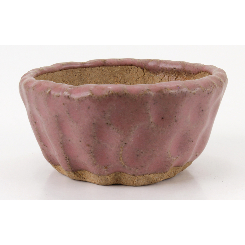 Bonsai pot JTA8595 SHUHO SETO