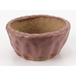 Bonsai pot JTA8595 SHUHO SETO view 2