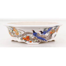 Bonsai pot FCH109 ZHANG ZHICHENG