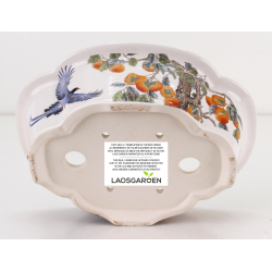 Bonsai pot FCH109 ZHANG ZHICHENG view 3