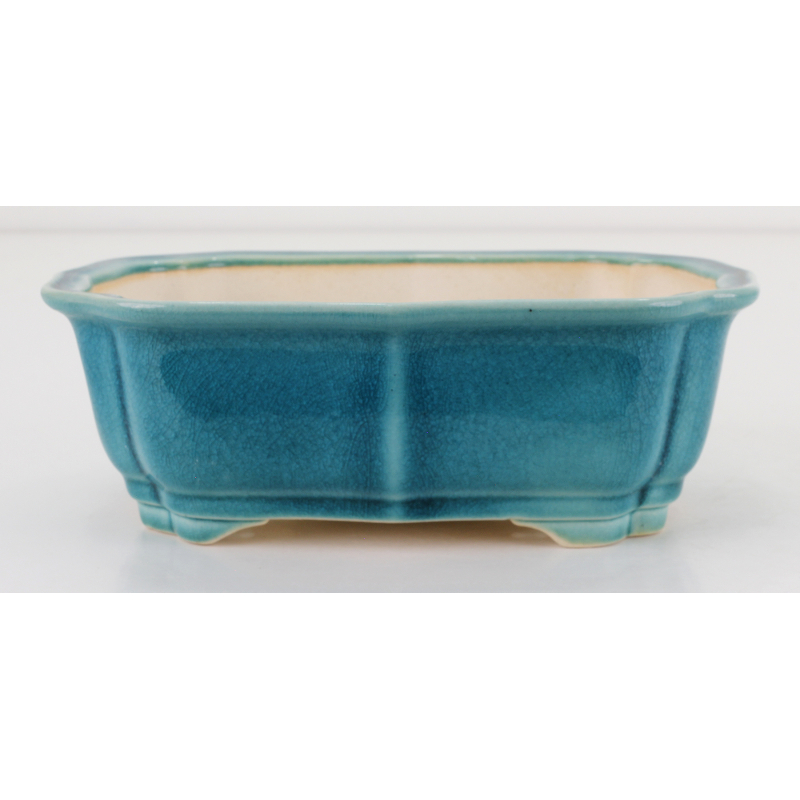 Bonsai pot FCH108 ZHANG ZHICHENG