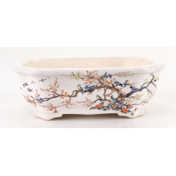 Bonsai pot FCH106 ZHANG ZHICHENG