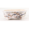 Bonsai pot FCH106 ZHANG ZHICHENG