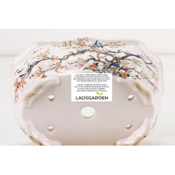 Bonsai pot FCH106 ZHANG ZHICHENG view 3