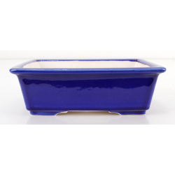 Bonsai pot FCH113 ZHANG ZHICHENG