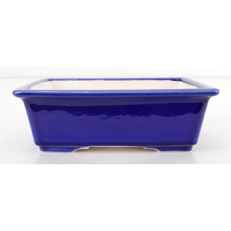 Bonsai pot FCH113 ZHANG ZHICHENG