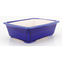 Bonsai pot FCH113 ZHANG ZHICHENG view 2