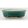 Bonsai pot FCH196 ZHANG ZHICHENG