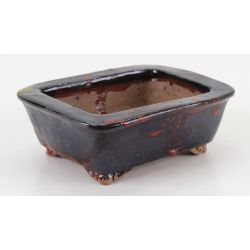Bonsai pot JTA8592 RANZAN view 2