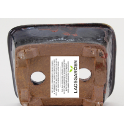 Maceta bonsái JTA8592 RANZAN vista 4