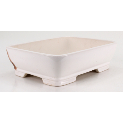 Bonsai pot FCH117 ZHANG ZHICHENG view 2