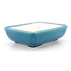 Bonsai pot FCH105 ZHANG ZHICHENG view 2