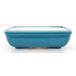 Bonsai pot FCH105 ZHANG ZHICHENG