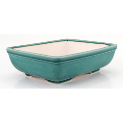 Bonsai pot FCH105 ZHANG ZHICHENG view 5