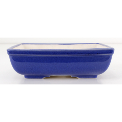 Bonsai pot FCH104 ZHANG ZHICHENG