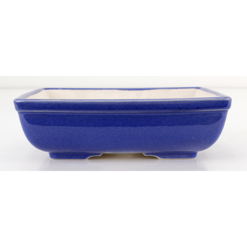 Bonsai pot FCH104 ZHANG ZHICHENG