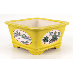Bonsai pot FCH110 ZHANG ZHICHENG