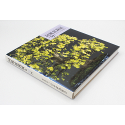Libro exposición Kokufu 92-DE -2018- vista 2