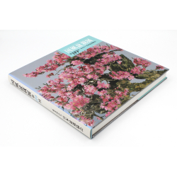 Libro exposición Kokufu 89-DE -2015- vista 2