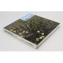 Libro exposición Kokufu 90-DE -2016- vista 2