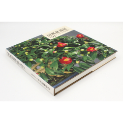 Libro exposición Kokufu 91-DE -2017- vista 2