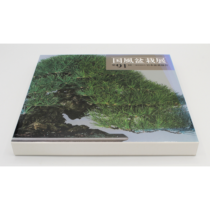 Libro exposición Kokufu 91-DE -2017- Libro exposición Kokufu 91-DE -2017-