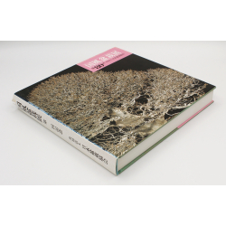 Kokufu 80-DE exhibition book -2006- view 2