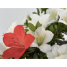 Azalea Suisen I-8136 vista 6