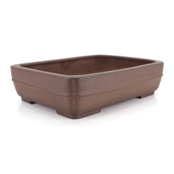 Maceta bonsái JTA8621 REIHOU REIJI vista 2