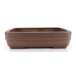 Maceta bonsái JTA8621 REIHOU REIJI