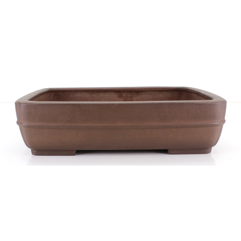 Maceta bonsái JTA8621 REIHOU REIJI