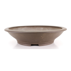 Maceta bonsái JTA8604 SHOSEI