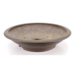 Bonsai pot JTA8604 SHOSEI view 2