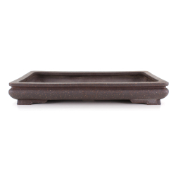 Bonsai pot JTA8619 SEIKA