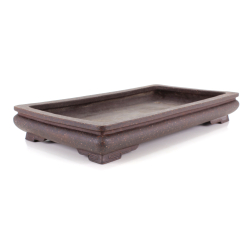 Maceta bonsái JTA8619 SEIKA vista 2