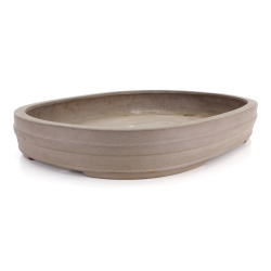 Bonsai pot JTA8612 SEIBUN view 2