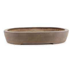 Bonsai pot JTA8615 SEIZAN MAKOTO
