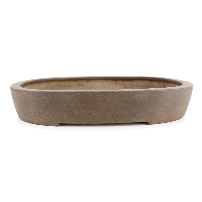 Bonsai pot JTA8615 SEIZAN MAKOTO