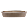 Bonsai pot JTA8615 SEIZAN MAKOTO