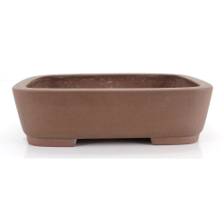 Bonsai pot JTA8603 KEIZAN