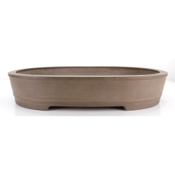 Maceta bonsái JTA8665 REIHOU REIJI
