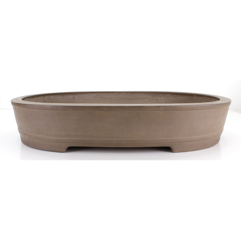 Maceta bonsái JTA8665 REIHOU REIJI