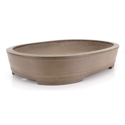 Bonsai pot JTA8665 REIHOU REIJI view 2