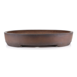 Bonsai pot JTA8628 HARUMATSU RYOKUMISAI