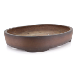 Bonsai pot JTA8628 HARUMATSU RYOKUMISAI view 2