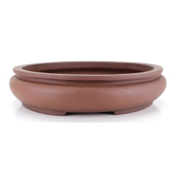 Maceta bonsái JTA8671 REIHOU REIJI