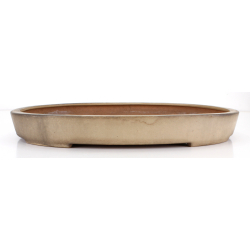 Bonsai pot JTA8672 SEIZAN REIHOU