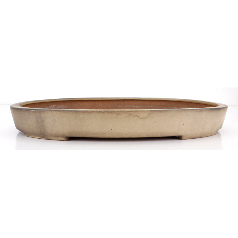 Bonsai pot JTA8672 SEIZAN REIHOU
